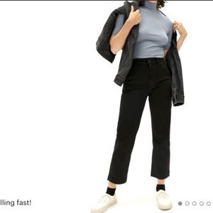 Navy Everlane Straight Leg Crop - regular